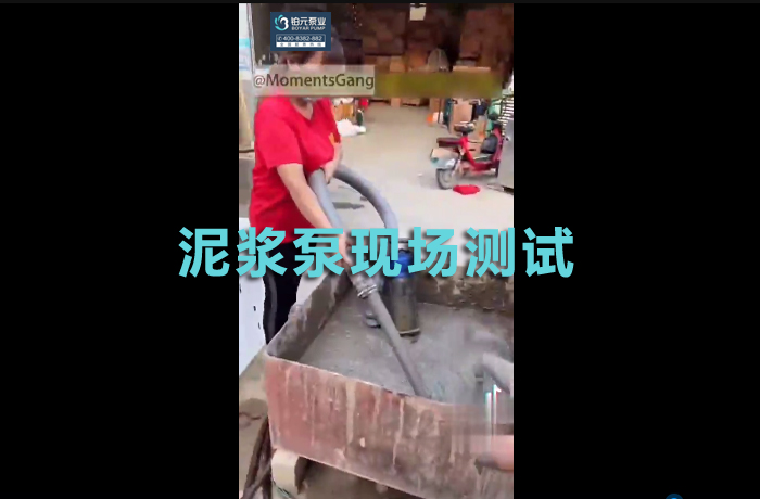 Mud pump on-site testing