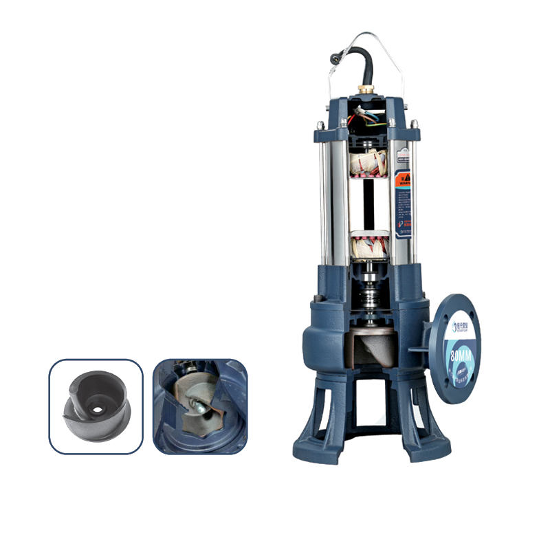 B Series (100WQ65-15-5.5B)