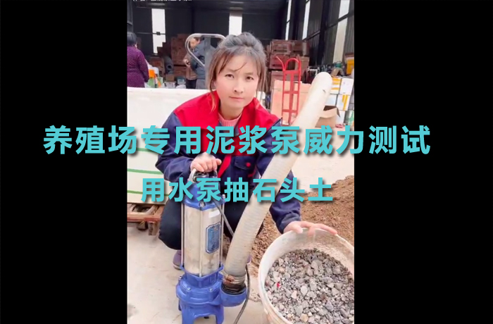 Power test of specialized mud pump for aquaculture farms