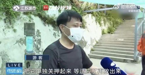 吃瓜挨打的网红是谁啊,揭秘“吃瓜挨打”网红事件