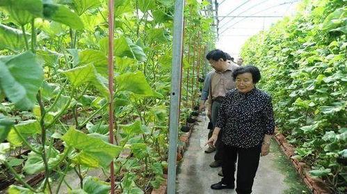 诸暨网红吃瓜事件始末是真的吗