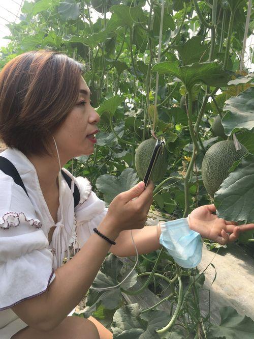 吃瓜八卦网红名字叫什么,揭秘网红“吃瓜八卦”背后的故事