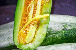 吃瓜上出现的网红,揭秘吃瓜网红的崛起之路