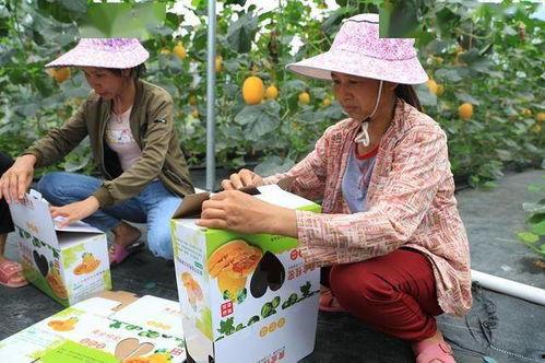 吃瓜逛街的网红有哪些,吃瓜逛街的潮流达人盘点