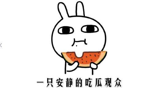 51抖音黑料吃瓜网,吃瓜网带你探秘网络舆论风云