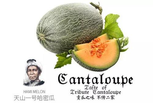 吃瓜群众看过来天山网