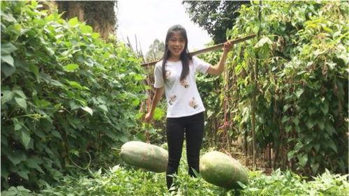 吃瓜群众看过来天山网