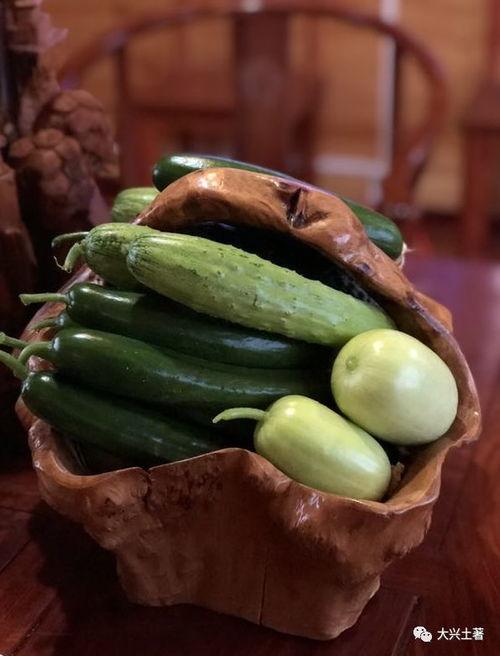 网红反差吃瓜,揭秘光鲜背后的真实生活