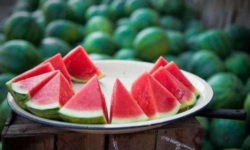 荷兰网红吃瓜视频大全集