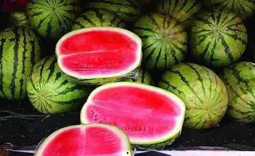 荷兰网红吃瓜视频大全集