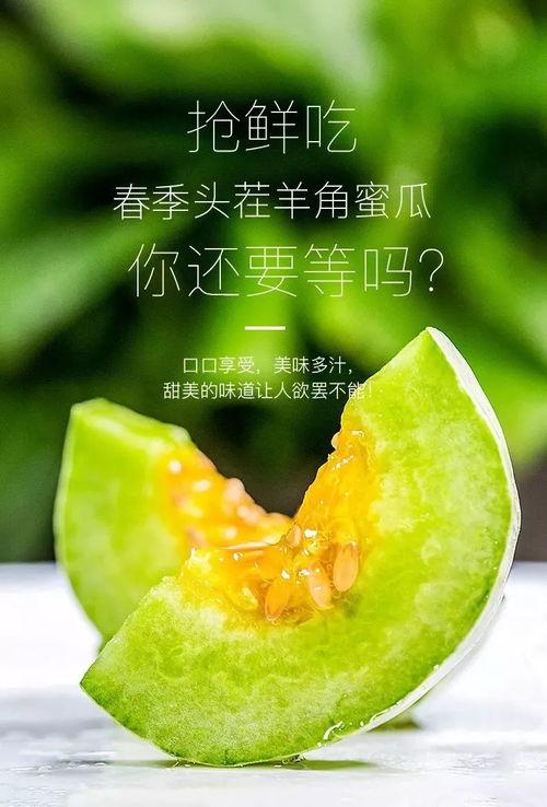 可以吃网红瓜的网站